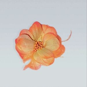 🧡hair clip🧡